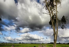 开云体育:父亲:孔帕尼一直很努力也很热心,这对他的教练工作很有帮助.