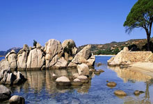 开云体育:世界大奖赛落幕,罗伯逊夺得第25冠,宾汉姆遭遇.